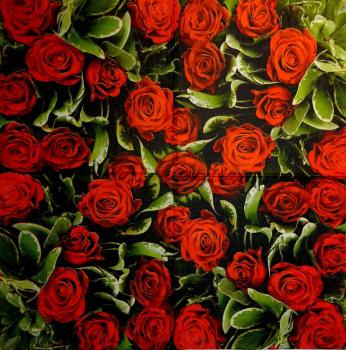 456 Rosen - 3-lagig - Ihr