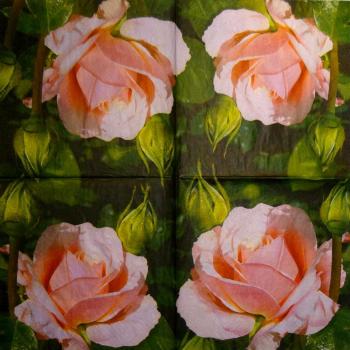 458 Rosen - 3-lagig (8135) - Atelier