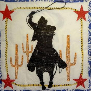 017 Diverse - 3-lagig - Purplathum - Cowboy