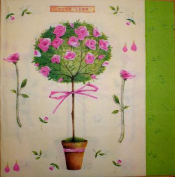 095 Roses