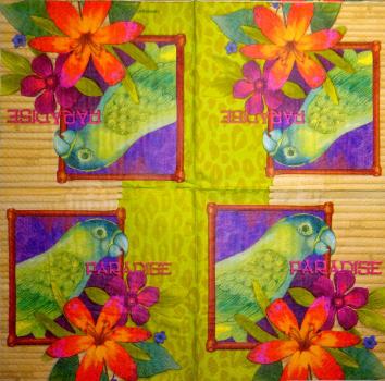 044 Parrot - 3-ply - USA