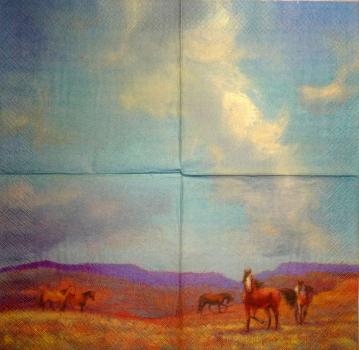 107 Horses - 3-ply - CS