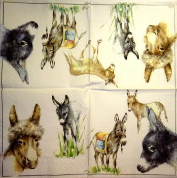 112 Horses - 3-ply - Ihr