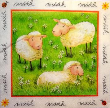 084 Sheep - 3-ply