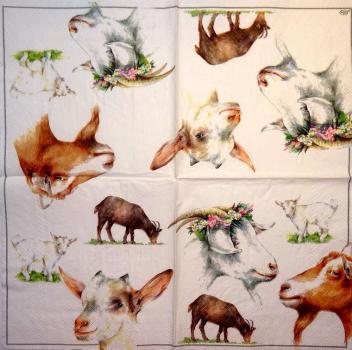 090 Sheep - 3-ply - Ihr
