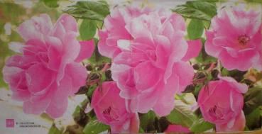 106 Roses - 3-ply - ppd - Krackenberger
