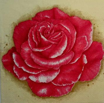 485 Rosen - 3-lagig - Ambiente