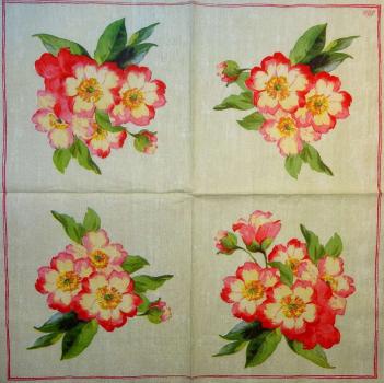 486 Rosen - 3-lagig - Ihr