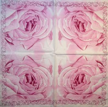 488 Roses - 3-ply - Fasana