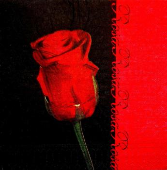 497 Rosen - 3-lagig