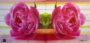 504 Roses - 3-ply - ppd - Andrea Tilk