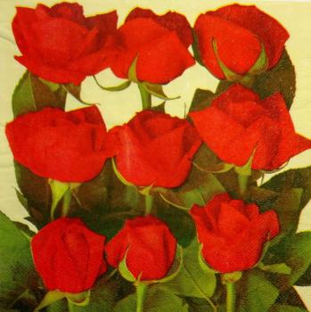 505 Roses - 3-ply - ppd - Deborah Schenk