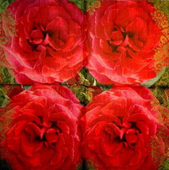 507 Roses - 3-ply (09000)
