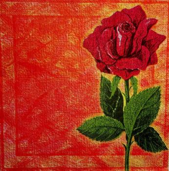 508 Roses - 3-ply (371)