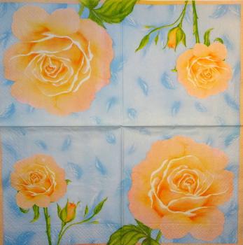 668 Rosen - 3-lagig (apricot) - Ihr