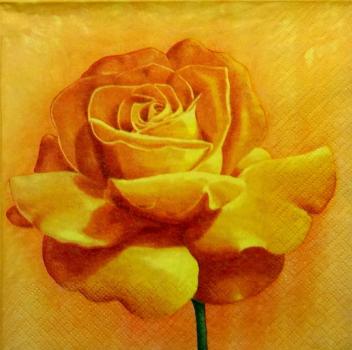 029 Rosen - 3-lagig (gelb)