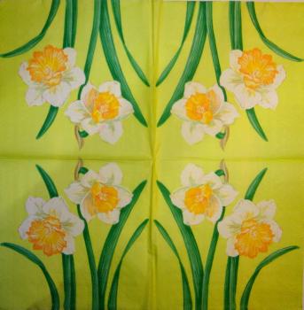 158 Daffodils - 3 ply