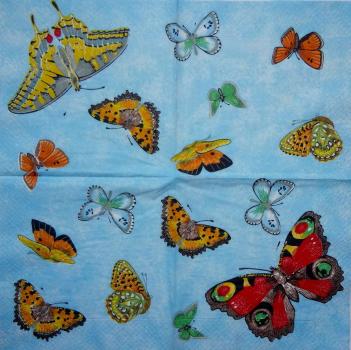 123 Butterflies - 3-ply (blue)