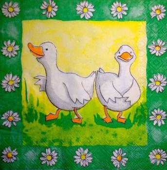 094 Ducks - 3-ply (grün) - Stewo