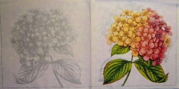057 Hortensien - 3-lagig - Maki
