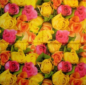 513 Roses - 3-ply - Avantgarde