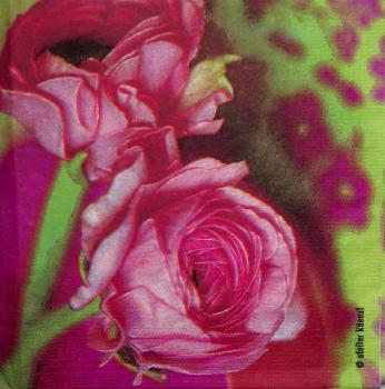524 Roses - 3-ply - ppd - Atelier Küenzi
