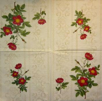 538 Roses - 3-ply -  (cream) - Paw