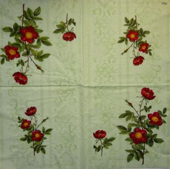 538 Roses - 3-ply -  (grün) - Paw