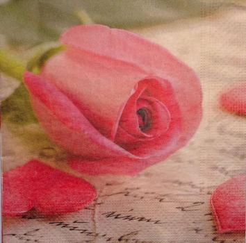539 Rosen - 3-lagig -