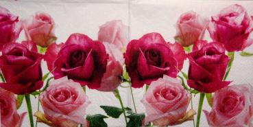 540 Rosen - 3-lagig -  - Colourful Life