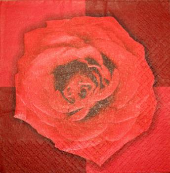 132 Roses - CS