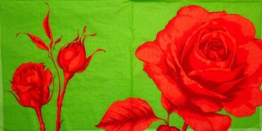 275 Rosen - 3-lagig (grün, rot-385410) - Ihr