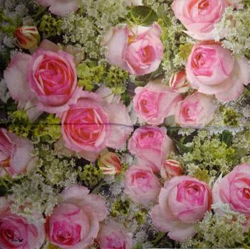 549 Roses - 3-ply -  - Stewo