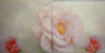 554 Rosen - 3-lagig -  (0365) - Ashdene - Peter Laumann