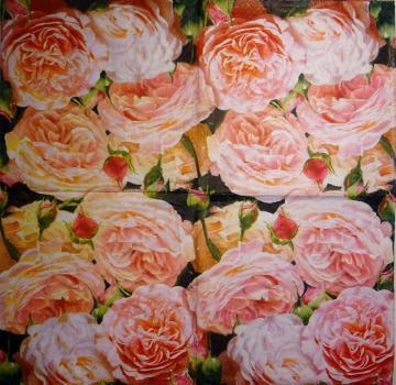 555 Rosen - 3-lagig -  (8003) - Atelier