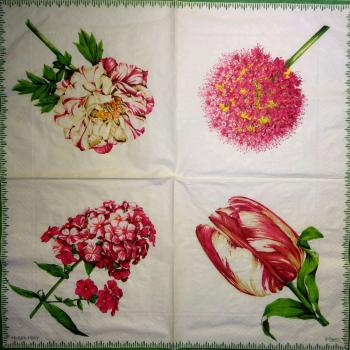 561 Roses - 3-ply -  - Caspari - Pierre Frey