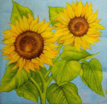 139 Sunflowers - 3-ply