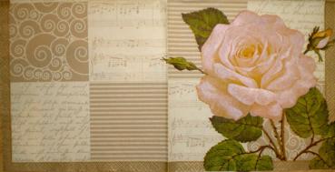 136 Roses - CS