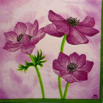 138 Anemones, Poppy - 3-ply - Fasana