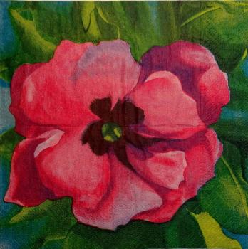 139 Anemones, Poppy - 3-ply - Duni