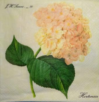 066 Hydrangeas - 3-ply - Paper Design - Künstler