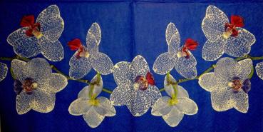 080 Orchids - 3-ply (blue) - ti-flair