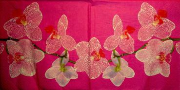 080 Orchideen - 3-lagig (pink) - ti-flair