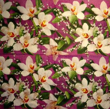 081 Orchids - 3-ply - Colourful Life