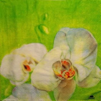 085 Orchideen - 3-lagig (2938) - Fasana
