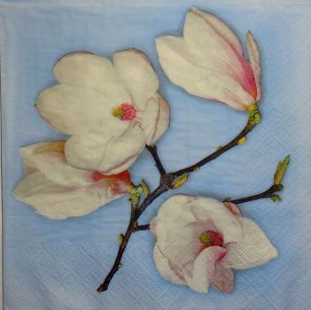 065 Magnolias - 3-ply (blue) - ti-flair