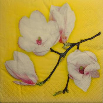 065 Magnolien - 3-lagig (gelb) - ti-flair