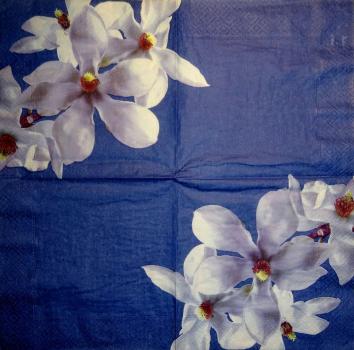 066 Magnolias - 3-ply - Paper Design