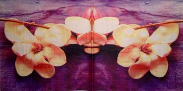 069 Magnolien - 3-lagig - Mauritius