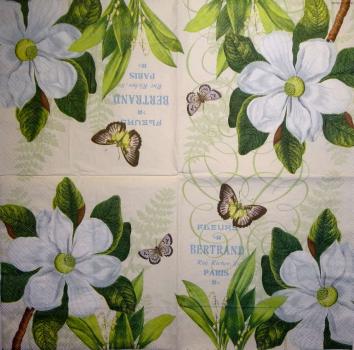 073 Magnolias - 3-ply - Ambiente